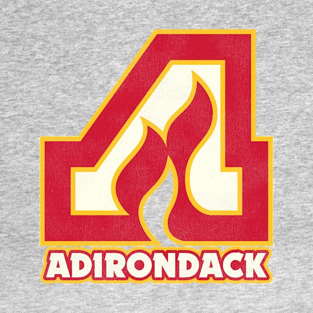Defunct Adirondack Flames Hockey Team by Defunctland